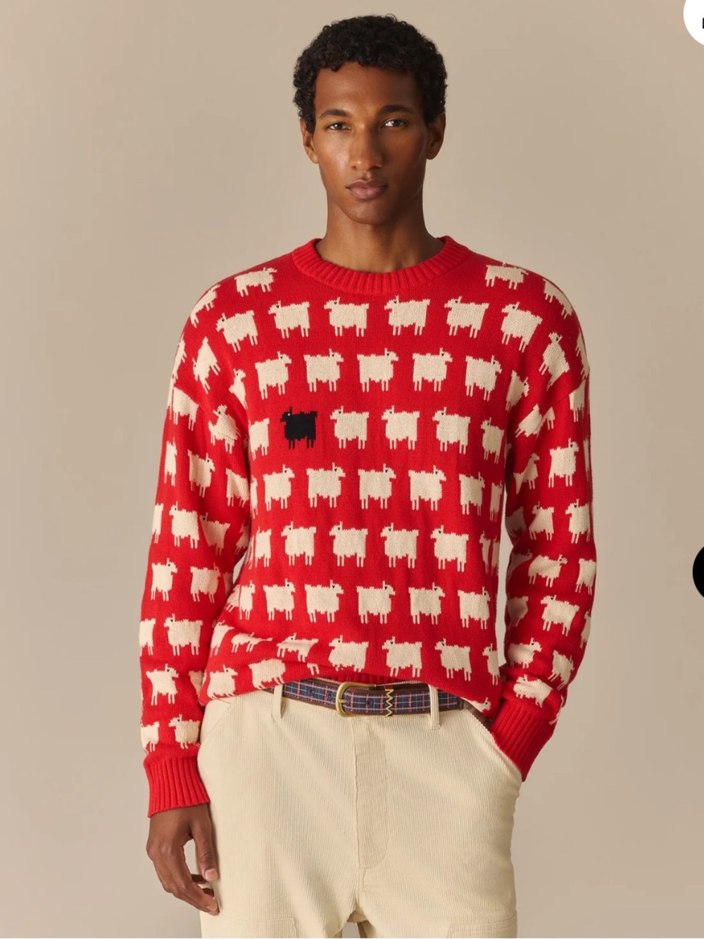 Rowing Blazers Men's Warm & Wonderful "Diana Edition" Cotton Sweater
